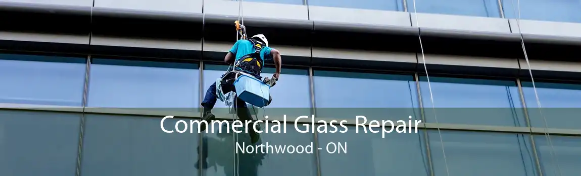 Commercial Glass Repair Northwood - ON