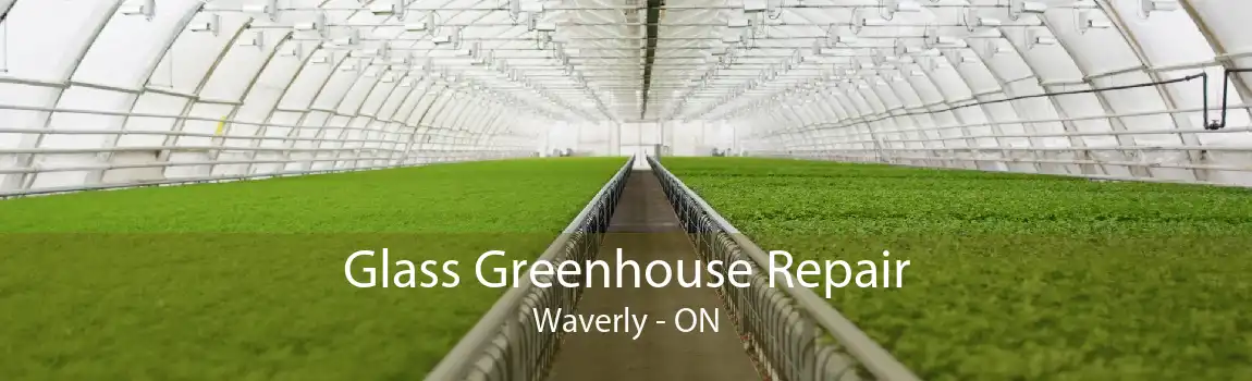 Glass Greenhouse Repair Waverly - ON