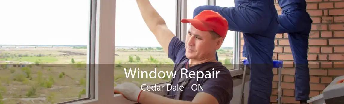 Window Repair Cedar Dale - ON